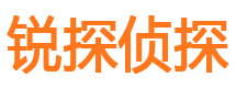 爱民婚外情调查取证